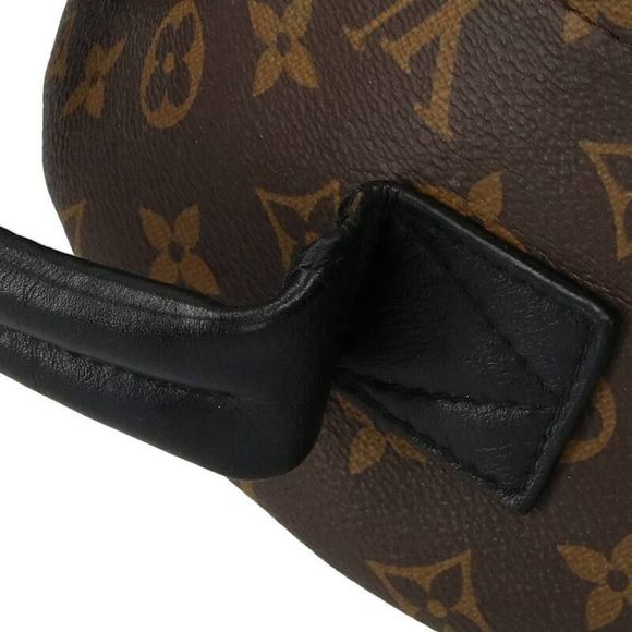 Louis Vuitton Palm Springs Backpack PM Monogram Brown - Picture 5 of 5